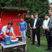 Şahin Biba: 