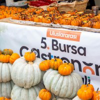 Bursa’nın asırlık lezzetleri dünya sahnesinde