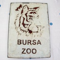  Bursa Hayvanat Bahçesi’nde yavru kaplan heyecanı