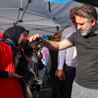 Büyükşehir'den can dostları için yuva seferberliği