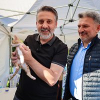 Büyükşehir'den can dostları için yuva seferberliği