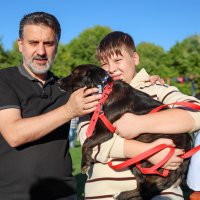 Büyükşehir'den can dostları için yuva seferberliği
