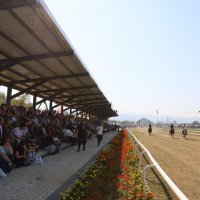 Rahvan biniciliğin kalbi Bursa'da attı