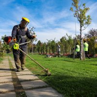 Büyükşehir’den park ve bahçelere düzenli bakım