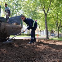 Büyükşehir’den park ve bahçelere düzenli bakım