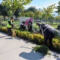 Büyükşehir’den park ve bahçelere düzenli bakım