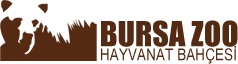 Bursa Hayvanat Bahçesi Web Sitesi