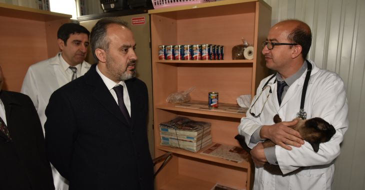 Can dostlarımız Büyükşehir korumasında