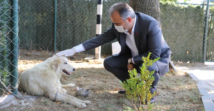 Can dostlarına Büyükşehir şefkati