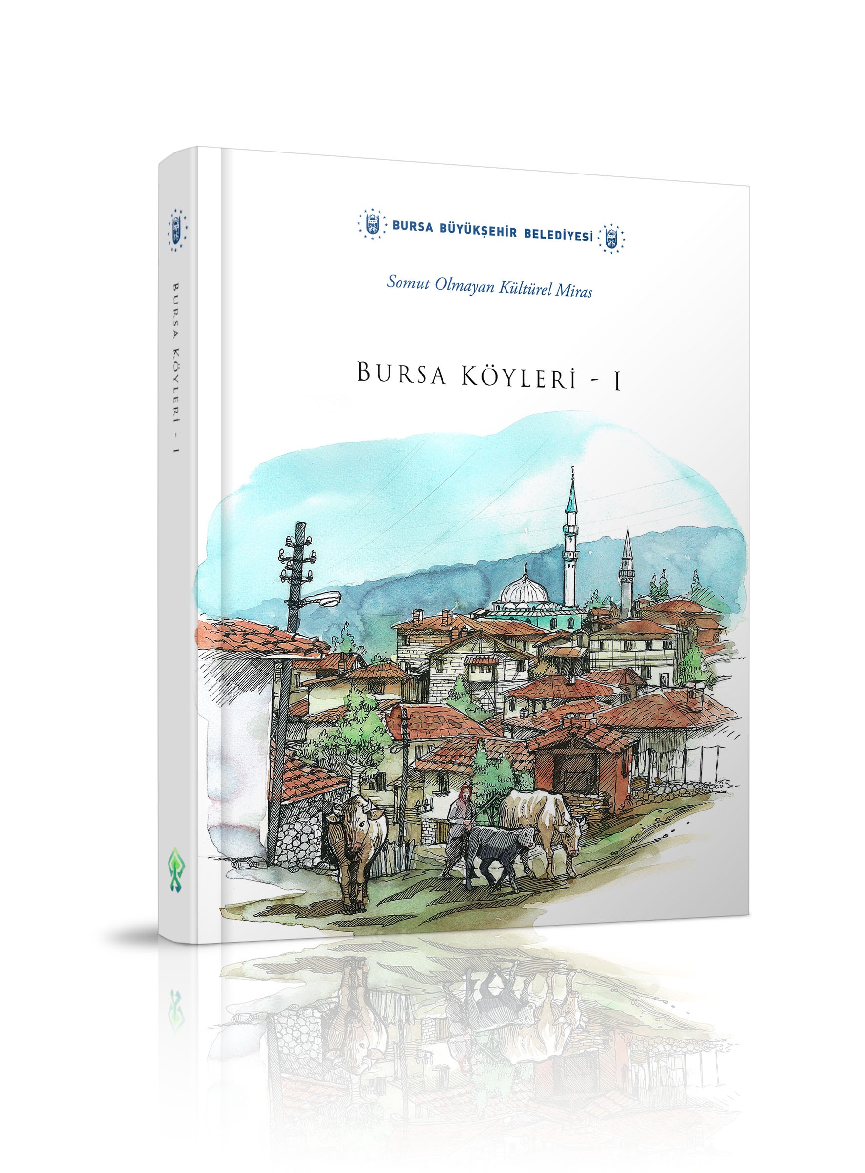 Bursa Köyleri 1