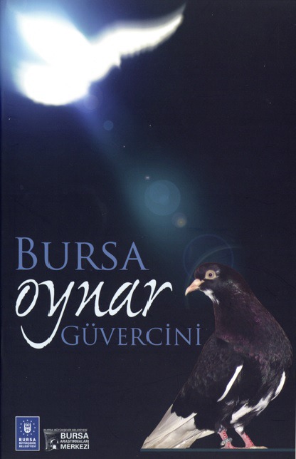 BURSA OYNAR GÜVERCİNİ