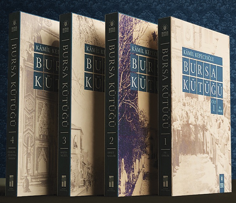 Bursa Kütüğü 1