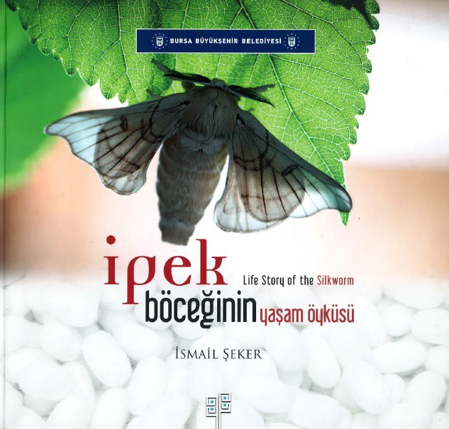 İPEK BÖCEĞİNİN YAŞAM ÖYKÜSÜ